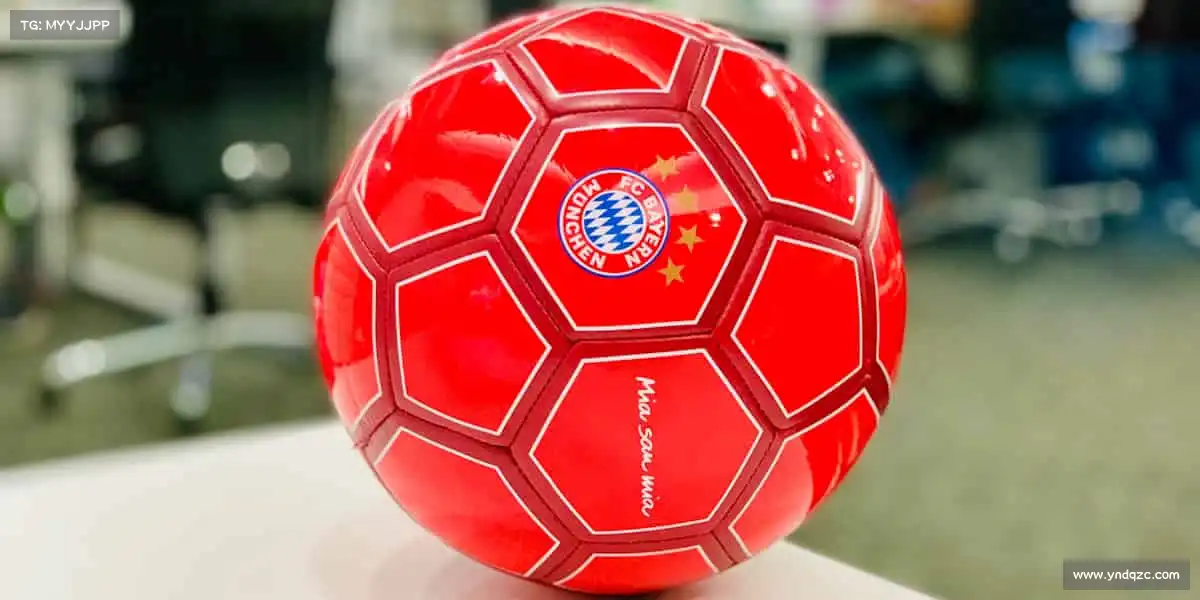 人生就是搏中国官网bkl8——拳力以赴!释放压力,格斗课程点燃你的斗志🔥